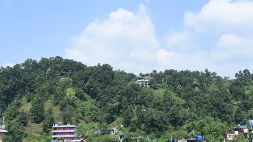 Hotel Green Hill View Pokhara Exterior photo